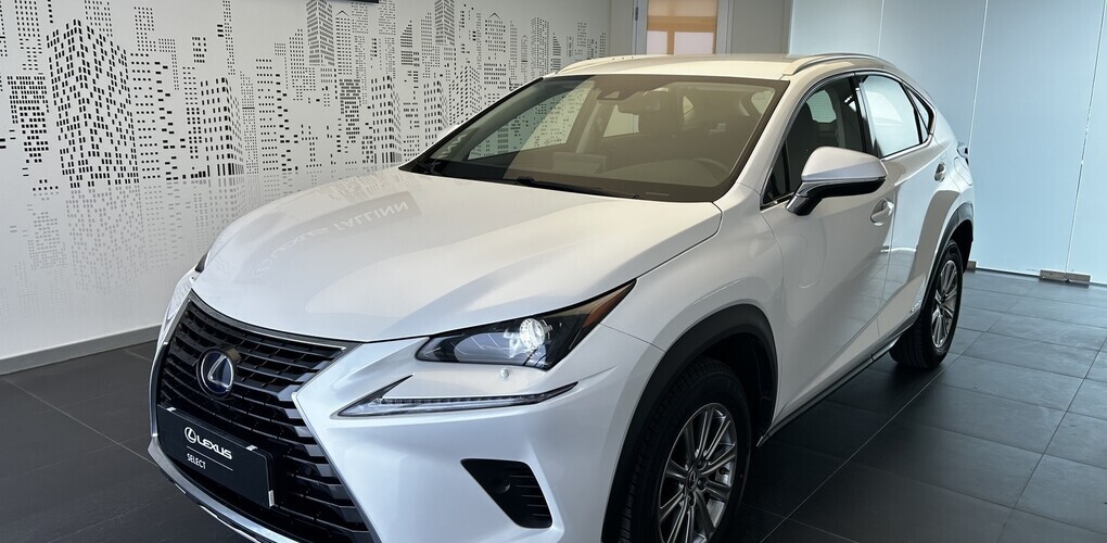Lexus NX 300h Business